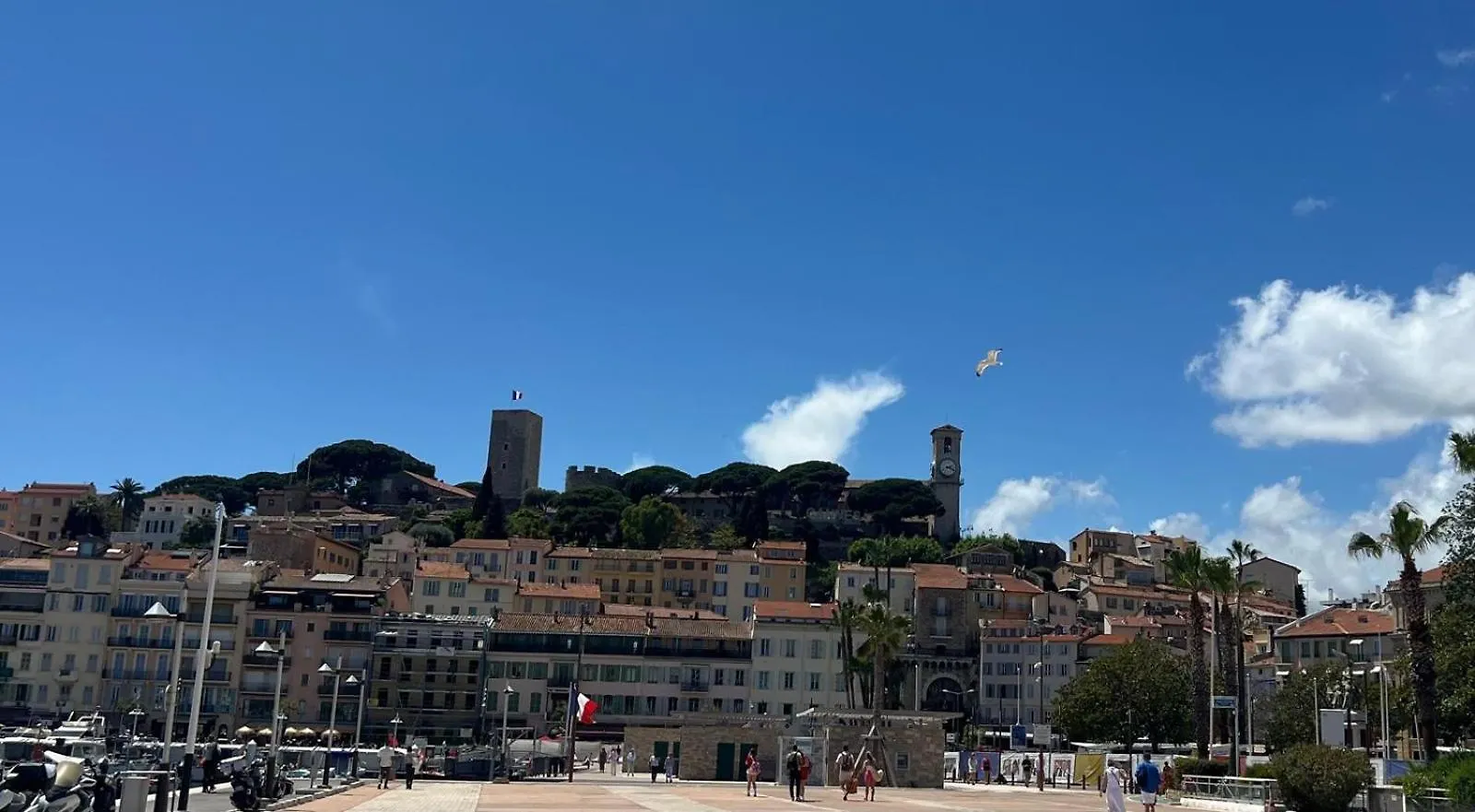2 Pieces Cannes Le Gallia 0*,  Francia